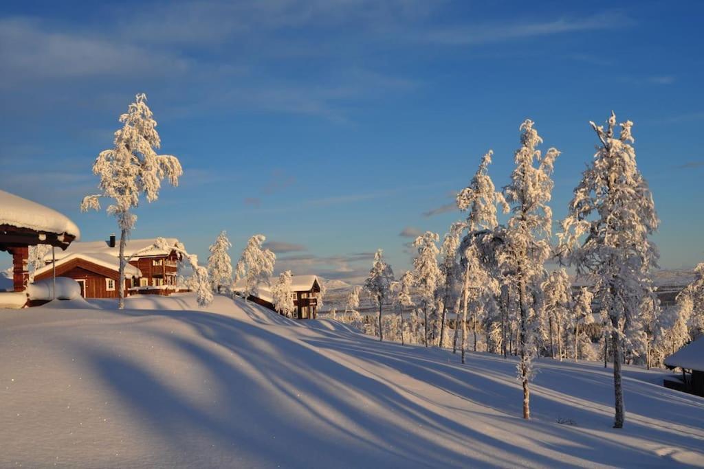 Flott Fritidsleilighet I Bualie Pa Golsfjellet المظهر الخارجي الصورة