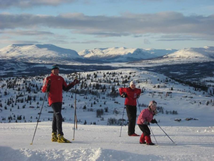 Flott Fritidsleilighet I Bualie Pa Golsfjellet المظهر الخارجي الصورة