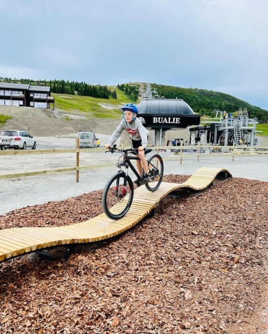 Flott Fritidsleilighet I Bualie Pa Golsfjellet المظهر الخارجي الصورة