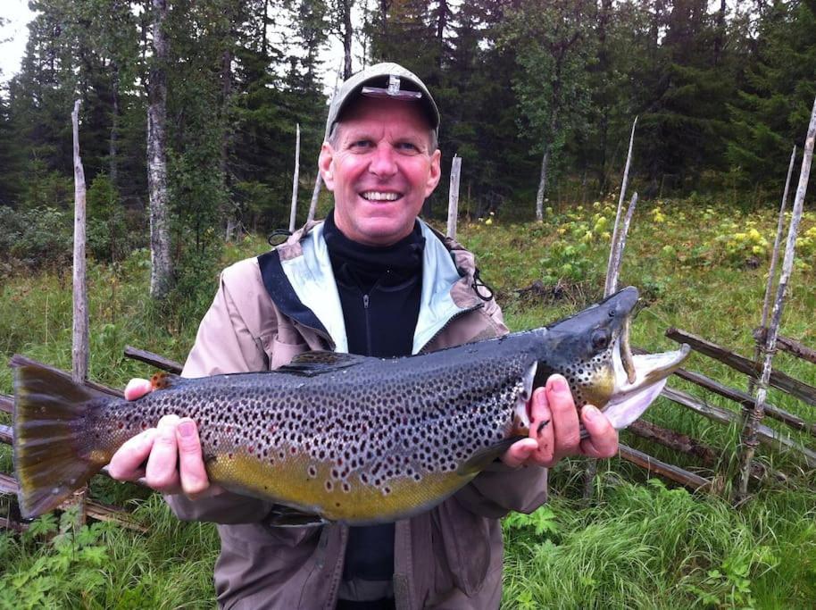 Flott Fritidsleilighet I Bualie Pa Golsfjellet المظهر الخارجي الصورة