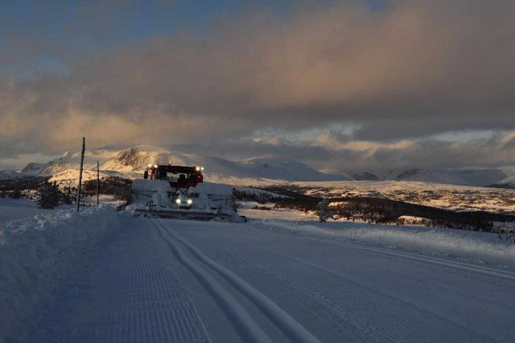 Flott Fritidsleilighet I Bualie Pa Golsfjellet المظهر الخارجي الصورة