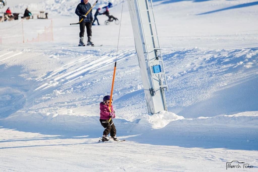 Flott Fritidsleilighet I Bualie Pa Golsfjellet المظهر الخارجي الصورة